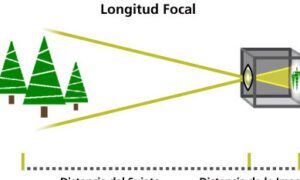 Foco y distancia focal: todo lo que necesitas saber sobre las lentes 31 foco y distancia focal todo lo que necesitas saber sobre las lentes 1