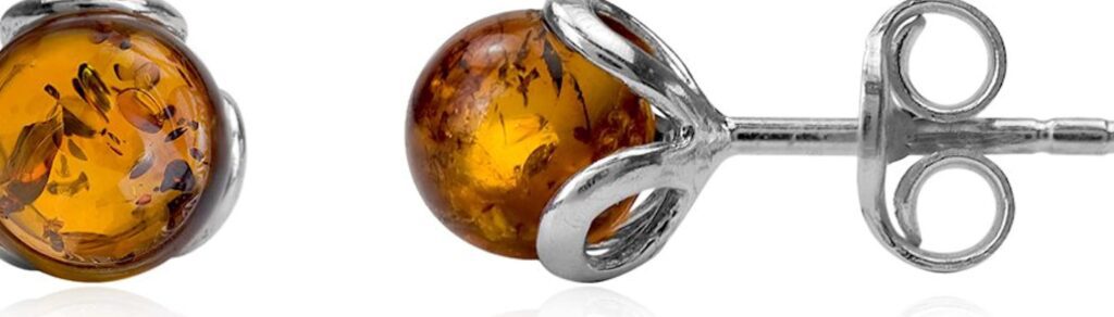 Explorando los tipos de fosilización: características y peculiaridades