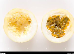 El fascinante mundo de los frutos carnosos de una sola semilla 19 fruta partida mostrando semilla grande en el centro