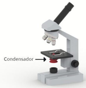 funcion del condensador en el microscopio descubre su importancia
