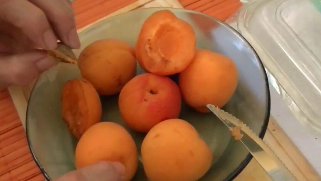 Cultiva tu propio árbol frutal: Aprende a germinar un hueso de albaricoque 5 Cultiva tu propio árbol frutal: Aprende a germinar un hueso de albaricoque