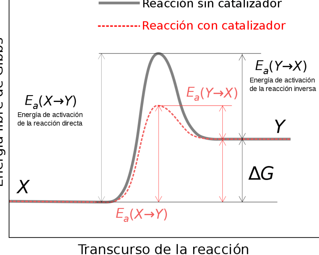 Energía de activación: clave directa e inversa en reacciones químicas 7 Energía de activación: clave directa e inversa en reacciones químicas