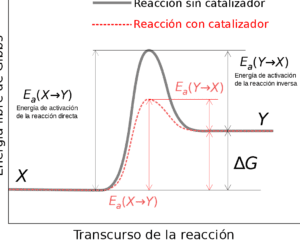 Energía de activación: clave directa e inversa en reacciones químicas 2 grafica de la energia de activacion en reacciones quimicas