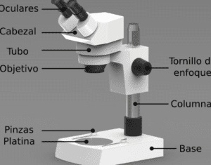 guia completa del esquema del microscopio estereoscopico 1