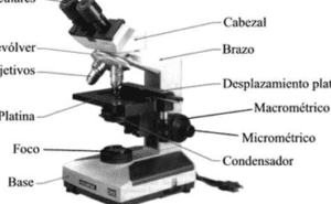 guia para la apertura numerica de un microscopio consejos utiles
