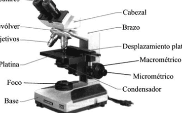 Guía para la apertura numérica de un microscopio: Consejos útiles