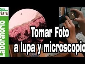 guia para tomar fotos desde un microscopio