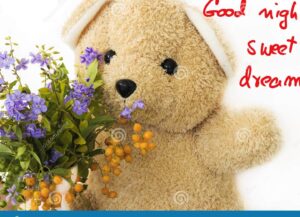 Flores bonitas y mensajes de buenas noches: un regalo para el corazón 7 imagen de flores coloridas junto a un mensaje de buenas noches