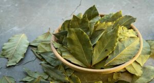 imagen de hojas de laurel
