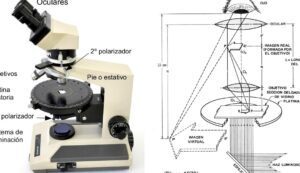 imagen de microscopio de luz reflejada