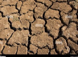 Detecta la falta de agua en tu pozo: claves para saber si se está secando 2 imagen de un pozo seco con tierra agrietada