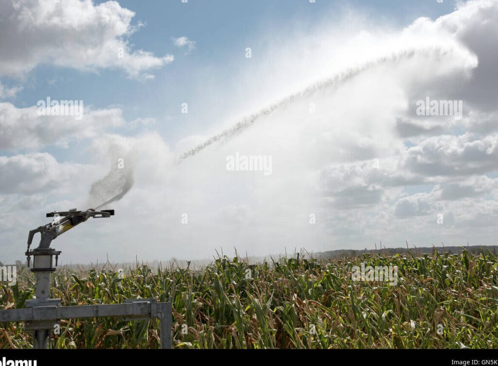 Consecuencias y precauciones: ¿Qué pasa si se fumigan y llueve?