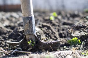 imagen de una persona esparciendo cal en un huerto