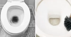 imagen inodoro limpio y reluciente sin manchas negras