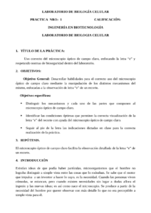 informe de laboratorio de biologia microscopia detallada