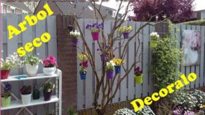 jardin con arbol seco decorado