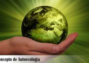 La fascinante historia de la ecología: desde los primeros conceptos hasta la actualidad 5 la fascinante historia de la ecologia desde los primeros conceptos hasta la actualidad