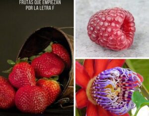 las frutas mas deliciosas y refrescantes con la letra f 640x500 2