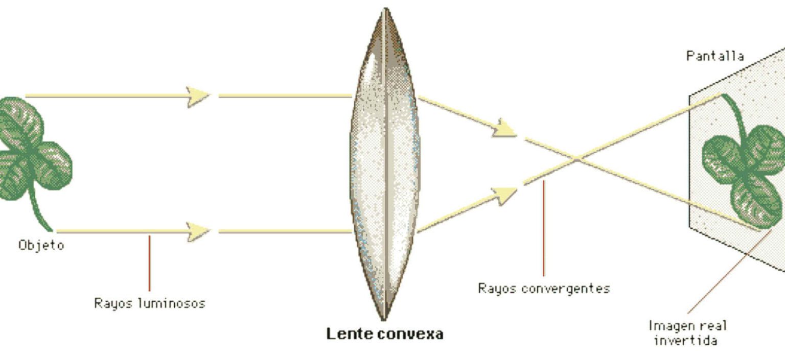 Gu a Completa Del Microscopio De Campo Oscuro Funcionamiento gu-a-completa-del-microscopio-de-campo-oscuro-funcionamiento