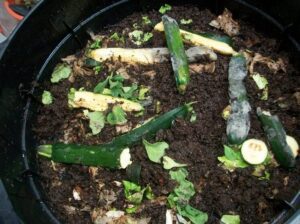 maceta con tierra y lombrices saliendo de ella