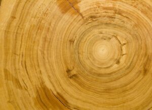 madera de cipres en tonos naturales