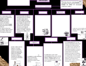 Mapa mental del microscopio: Guía visual para su uso 5 mapa mental del microscopio guia visual para su uso