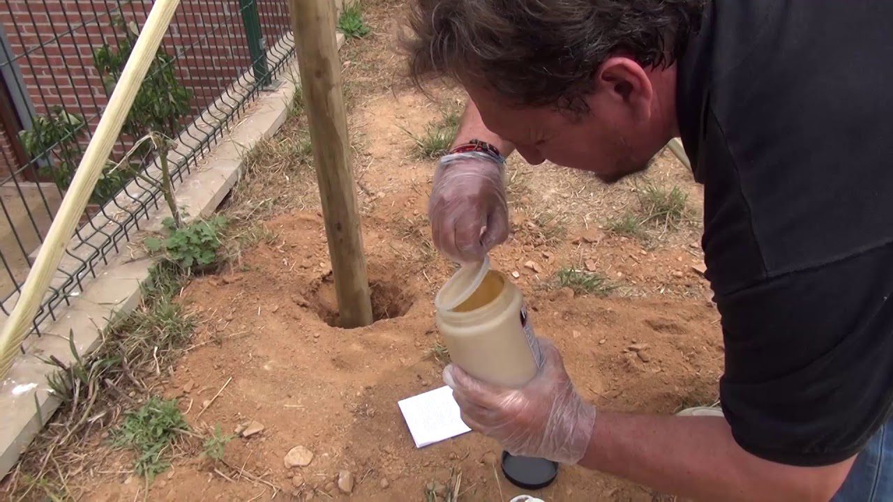 Hombre enterrando poste de madera