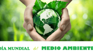 Descubre las 10 principales cosas que contaminan el medio ambiente 1 medio ambiente 1