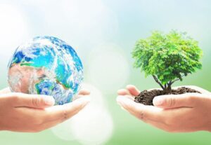 medio ambiente 14