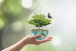 medio ambiente 2