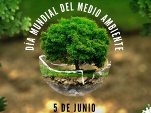 medio ambiente 23
