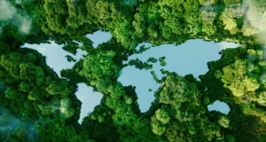medio ambiente