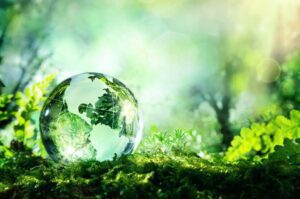 medio ambiente 33