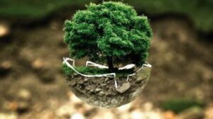 medio ambiente 47