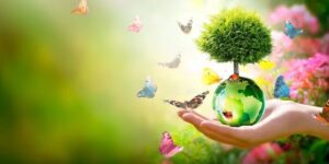 medio ambiente 5