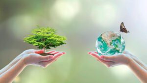 medio ambiente 7