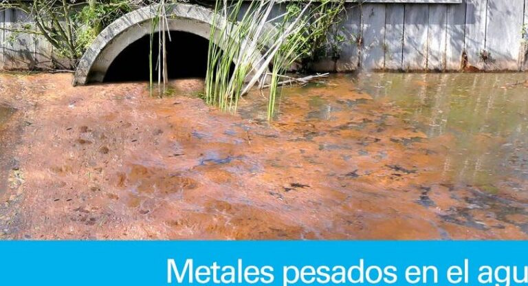 Metal Pesado Blanco Y Muy Tóxico