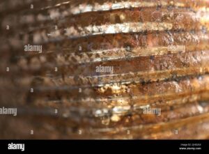 metales brillantes y sin rastro de oxido