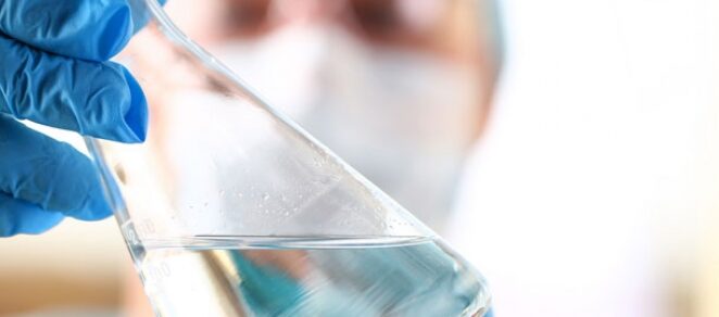 Descubre los tipos y ejemplos de levaduras en la microbiología 3 microbiologia wallpaper