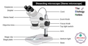 microscopio con los tres sistemas destacados