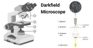 microscopio de campo oscuro en funcionamiento