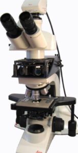 microscopio de luz ultravioleta descubre lo invisible