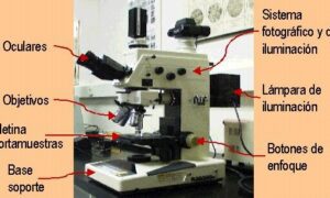 Microscopio Metalográfico: Descubre la Estructura de los Metales 21 microscopio metalografico descubre la estructura de los metales 1