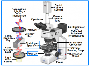 microscopio luz polarizada