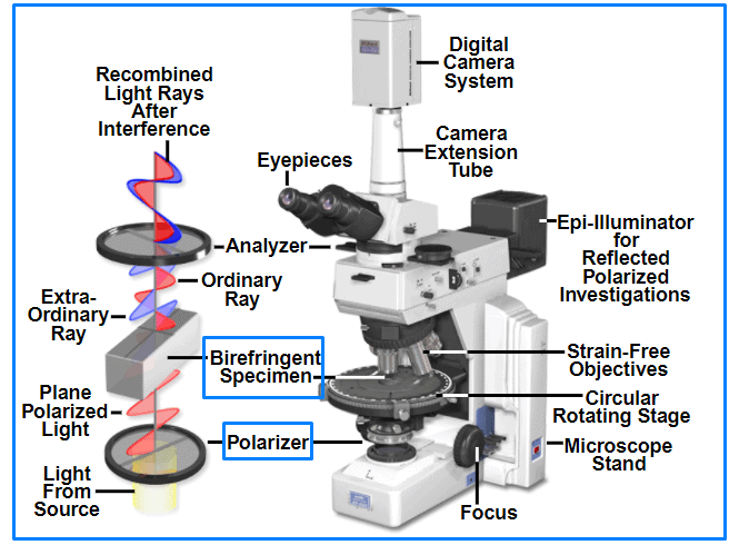 Microscopio de luz polarizada