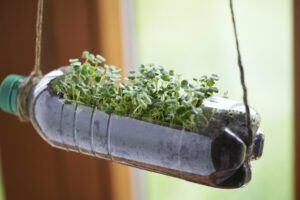 monton de arena de colores reutilizada en macetas