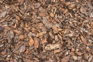mulch corteza pino pila astillas madera ser utilizada como mulch jardineria 526955 804