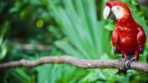 naturaleza