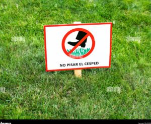 no pisar el cesped recien sembrado