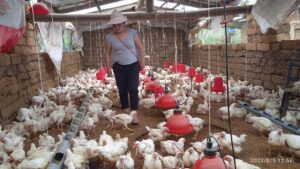 normal 642e34832a0c9